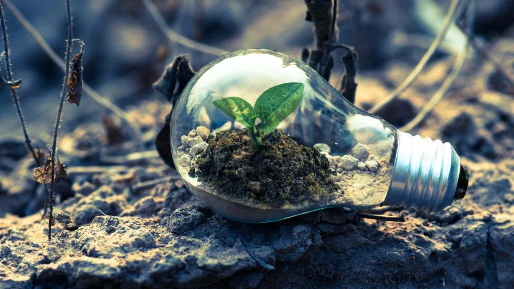 Renewable Energy 1024x576 1